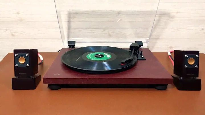Teac TN-100 LH: 077.202.0010