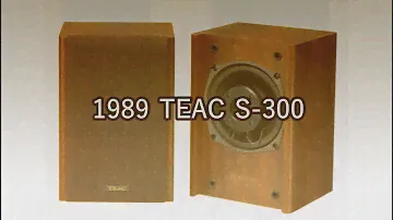 1989 TEAC S-300