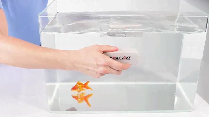 WHAT MAKES MAG-FLOAT SO GREAT?