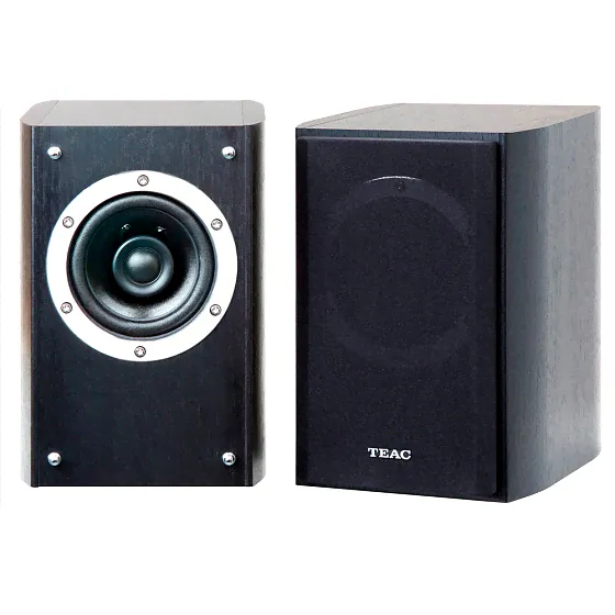 TEAC LS-301 black-1