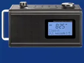 Радиоприемники Teac R-5 DAB schwarz