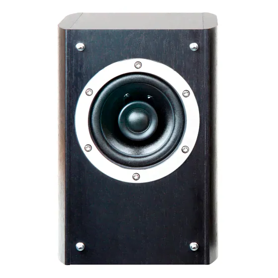 TEAC LS-301 black-4