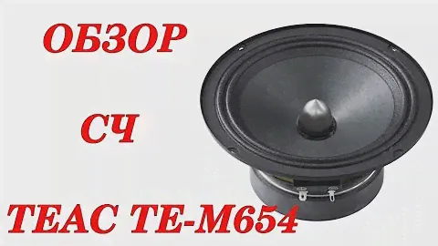 Обзор эстрадного среднечастотника Teac TE-M654. Автозвук своими руками