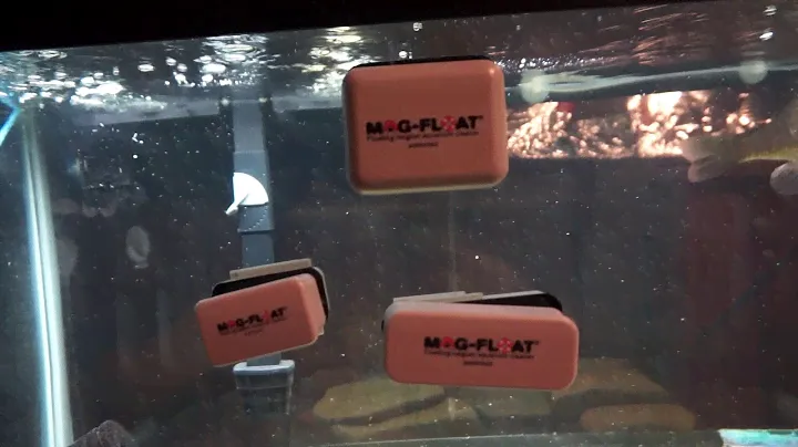 Mag-Float Review. Small, Medium and Large.