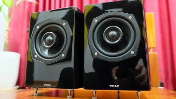 Cặp Loa TEAC S-300NEO | Hàng Siêu Đẹp Fullbox 99% Hàng Xách Tay Nhật | Giá : 7,5 Triệu