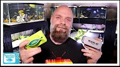 Best Fish Tank Algae Scraper? Mag Float vs Kedsum Showdown!
