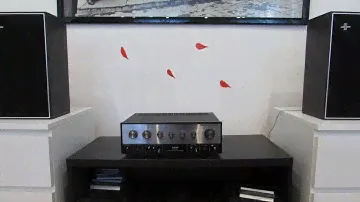 Teac Integrated Amplifier As-100 + Philips Speakers 22 AH 492/11S -  The Perfect Match 40 Watt Both